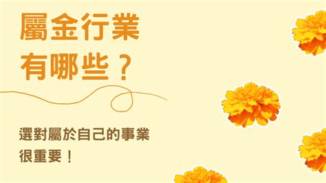 屬金的職業|屬金的行業有哪些？